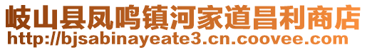 岐山縣鳳鳴鎮(zhèn)河家道昌利商店