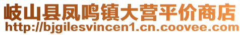 岐山縣鳳鳴鎮(zhèn)大營平價商店