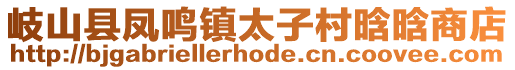 岐山縣鳳鳴鎮(zhèn)太子村晗晗商店