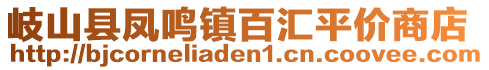 岐山縣鳳鳴鎮(zhèn)百匯平價(jià)商店
