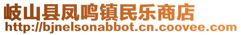 岐山縣鳳鳴鎮民樂商店