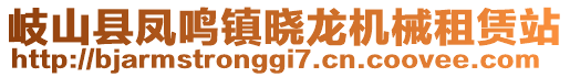 岐山縣鳳鳴鎮(zhèn)曉龍機械租賃站