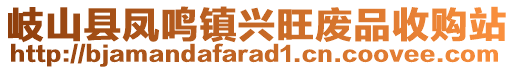 岐山縣鳳鳴鎮(zhèn)興旺廢品收購(gòu)站