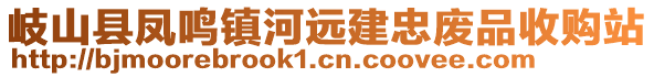 岐山縣鳳鳴鎮(zhèn)河遠建忠廢品收購站