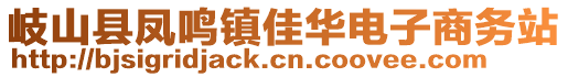 岐山縣鳳鳴鎮(zhèn)佳華電子商務站