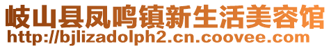 岐山縣鳳鳴鎮(zhèn)新生活美容館