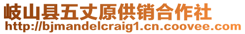 岐山縣五丈原供銷合作社