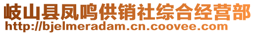 岐山縣鳳鳴供銷社綜合經(jīng)營部