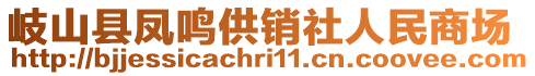 岐山縣鳳鳴供銷社人民商場