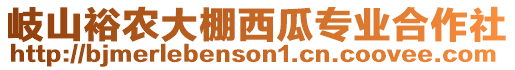 岐山裕農(nóng)大棚西瓜專業(yè)合作社