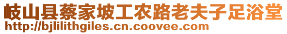 岐山縣蔡家坡工農(nóng)路老夫子足浴堂