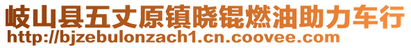 岐山縣五丈原鎮(zhèn)曉錕燃油助力車行