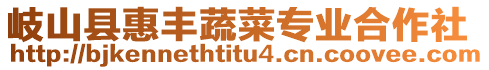 岐山縣惠豐蔬菜專業(yè)合作社