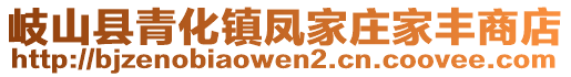 岐山縣青化鎮(zhèn)鳳家莊家豐商店