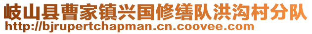 岐山县曹家镇兴国修缮队洪沟村分队