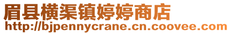 眉县横渠镇婷婷商店