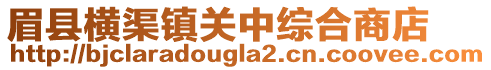 眉縣橫渠鎮(zhèn)關中綜合商店