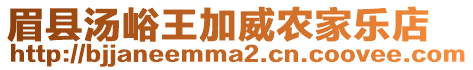 眉縣湯峪王加威農(nóng)家樂店