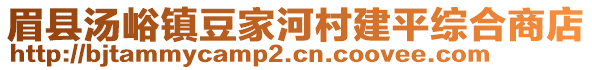 眉縣湯峪鎮(zhèn)豆家河村建平綜合商店