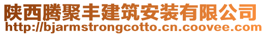 陜西騰聚豐建筑安裝有限公司