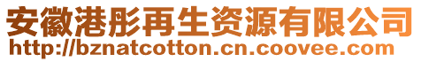 安徽港彤再生資源有限公司