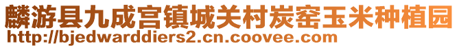 麟游县九成宫镇城关村炭窑玉米种植园