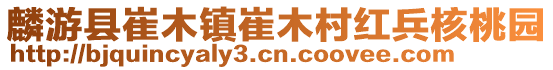 麟游縣崔木鎮(zhèn)崔木村紅兵核桃園