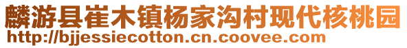 麟游縣崔木鎮(zhèn)楊家溝村現(xiàn)代核桃園