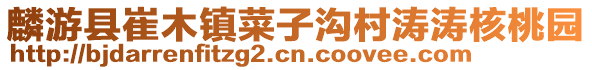 麟游縣崔木鎮(zhèn)菜子溝村濤濤核桃園