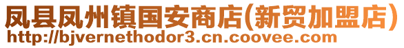 鳳縣鳳州鎮(zhèn)國安商店(新貿(mào)加盟店)