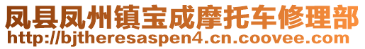 凤县凤州镇宝成摩托车修理部