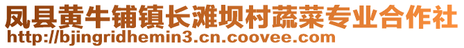 鳳縣黃牛鋪鎮(zhèn)長灘壩村蔬菜專業(yè)合作社