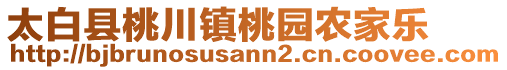 太白县桃川镇桃园农家乐