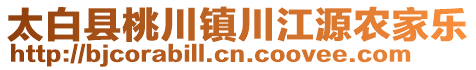 太白縣桃川鎮(zhèn)川江源農(nóng)家樂