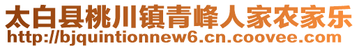 太白縣桃川鎮(zhèn)青峰人家農(nóng)家樂