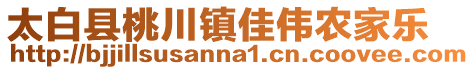 太白县桃川镇佳伟农家乐