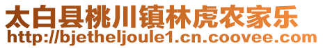 太白縣桃川鎮(zhèn)林虎農(nóng)家樂