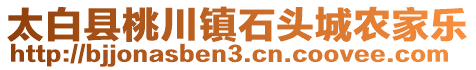 太白縣桃川鎮(zhèn)石頭城農(nóng)家樂