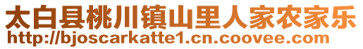 太白縣桃川鎮(zhèn)山里人家農(nóng)家樂