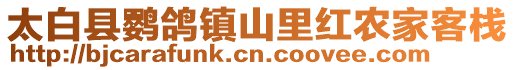 太白縣鸚鴿鎮(zhèn)山里紅農(nóng)家客棧