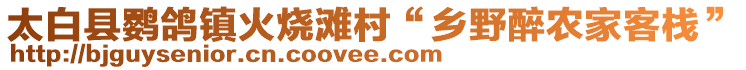 太白縣鸚鴿鎮(zhèn)火燒灘村“鄉(xiāng)野醉農(nóng)家客棧”