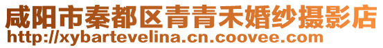 咸陽市秦都區(qū)青青禾婚紗攝影店