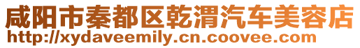 咸陽市秦都區乾渭汽車美容店