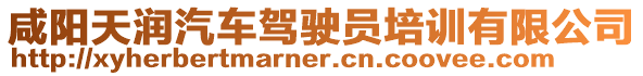 咸陽(yáng)天潤(rùn)汽車駕駛員培訓(xùn)有限公司