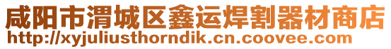 咸陽市渭城區鑫運焊割器材商店