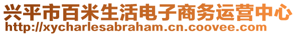 興平市百米生活電子商務(wù)運(yùn)營(yíng)中心