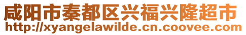 咸陽(yáng)市秦都區(qū)興福興隆超市