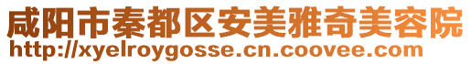 咸陽市秦都區安美雅奇美容院