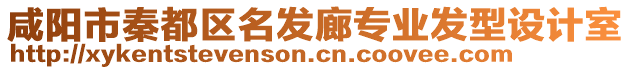 咸陽市秦都區(qū)名發(fā)廊專業(yè)發(fā)型設(shè)計室