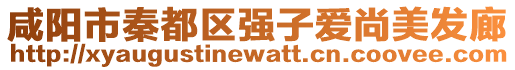 咸陽市秦都區(qū)強(qiáng)子愛尚美發(fā)廊